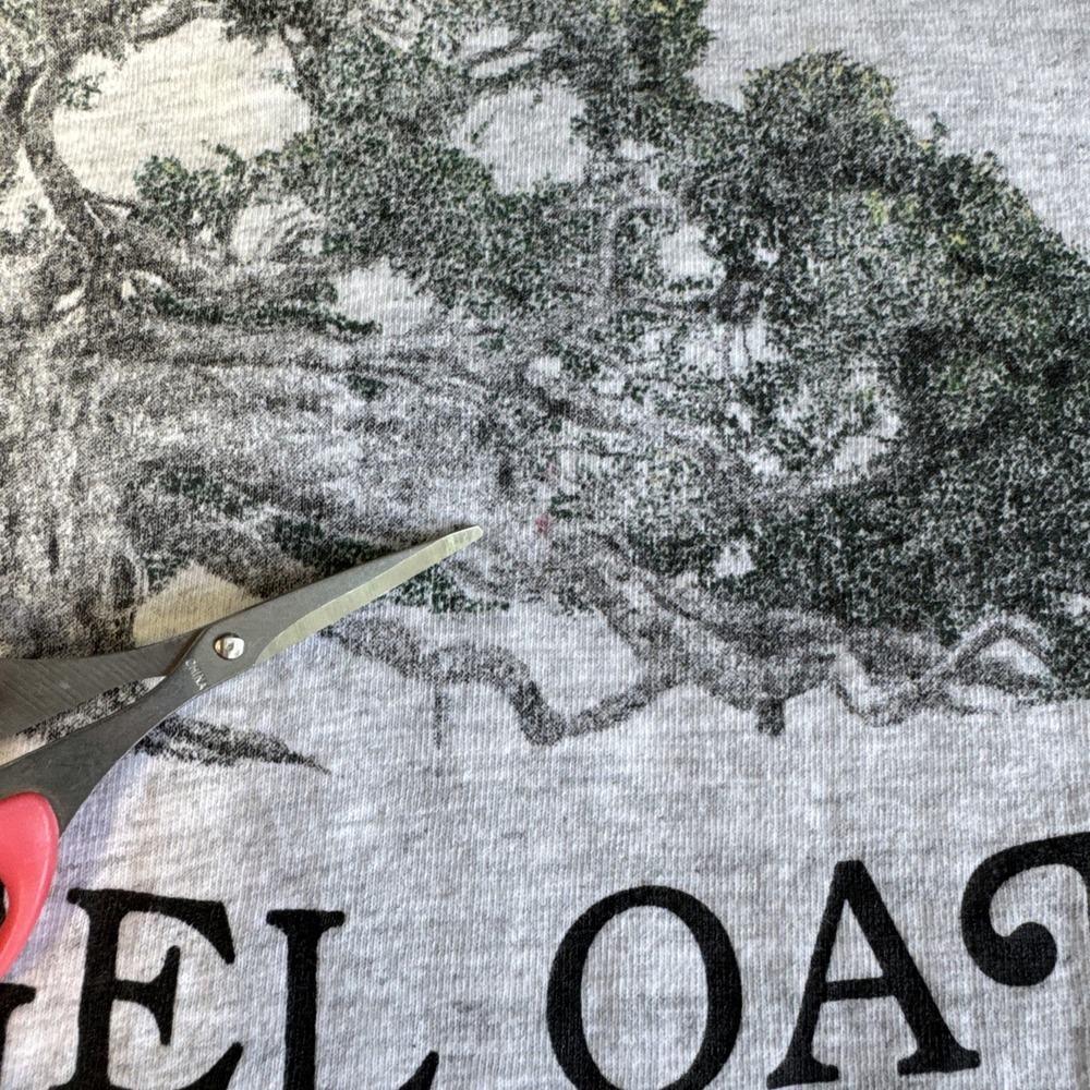 Vintage Single Stitch Charleston, SC Angel Oak Anvil T-Shirt Sz L Made In USA - Picture 6 of 12